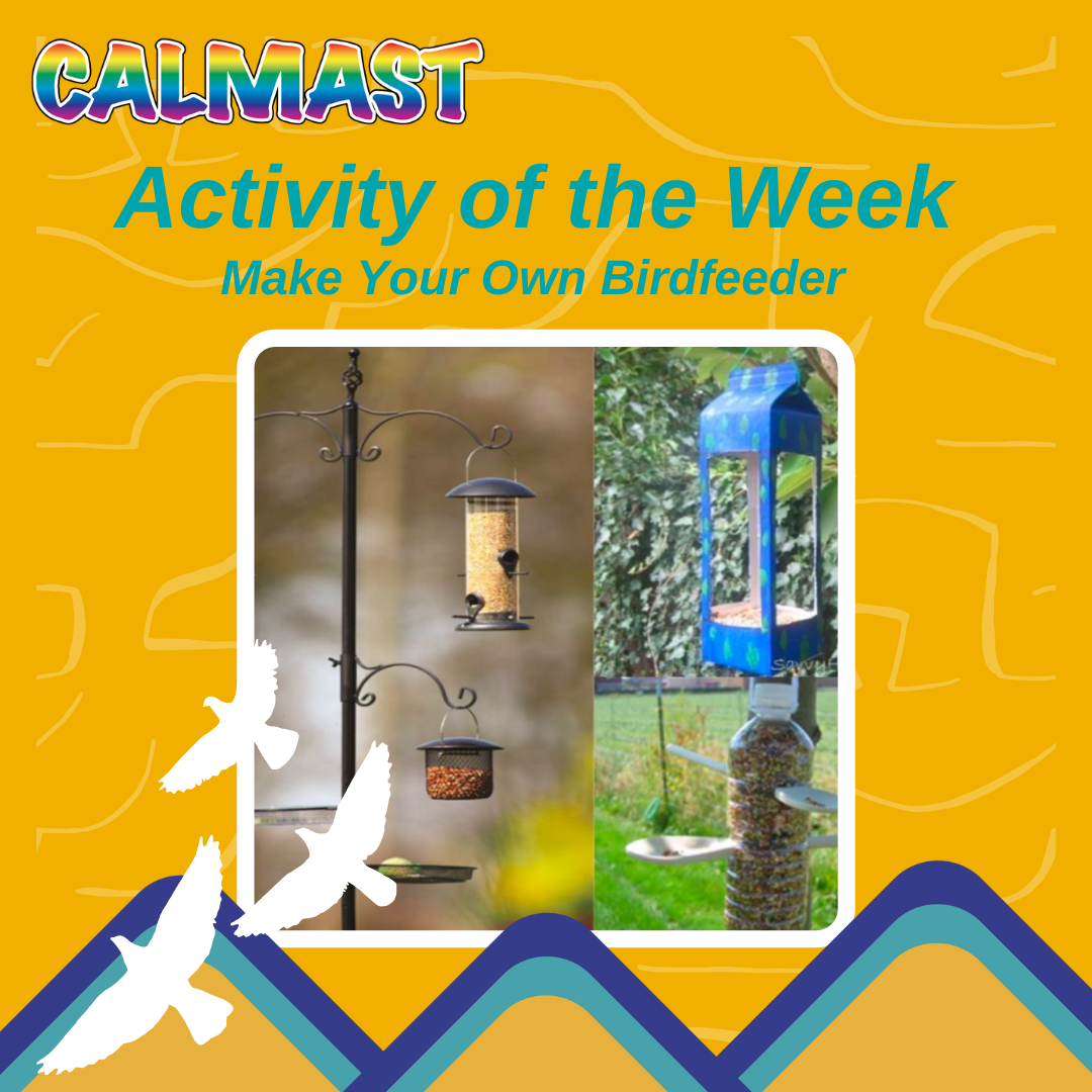 activity-of-the-week-calmast