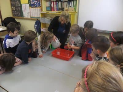 STEAM School Sessions | Primary School